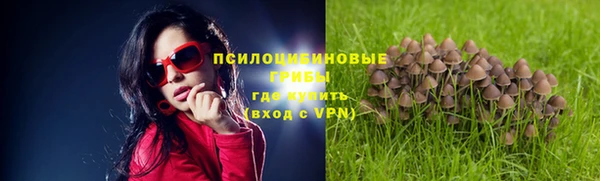 MDMA Premium VHQ Снежинск