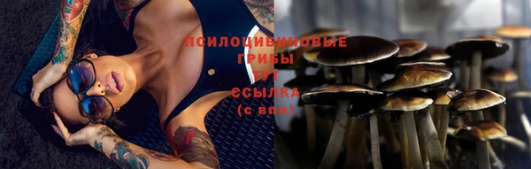 прущая мука Арсеньев