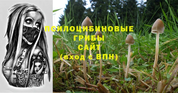 ECSTASY Аркадак