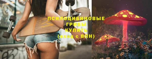 МДПВ Слюдянка