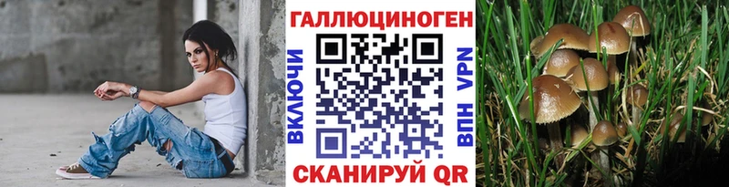 Купить Вилючинск Псилоцибиновые грибы ЛСД